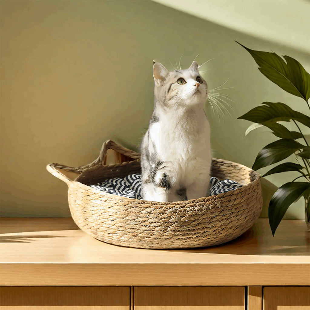 Woven Basket Cat BedBubuKuku